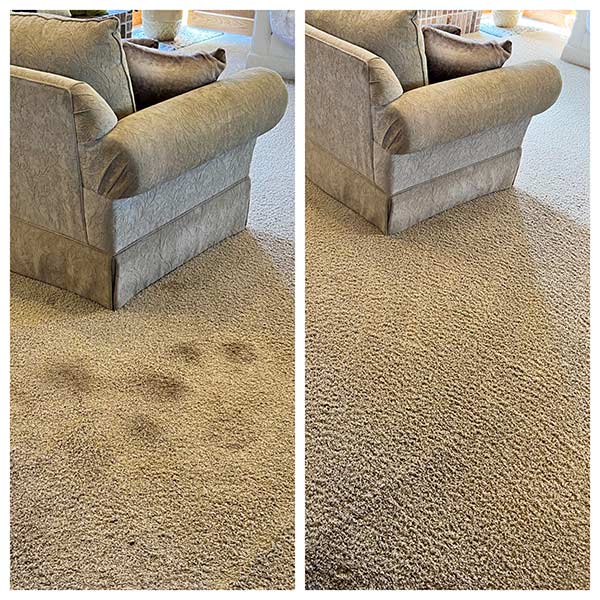 Our Work Quick Dry Pro