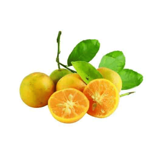 Naran Price in Sri Lanka Quickee