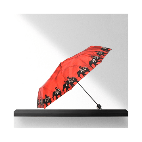 Rainco Abstract Umbrella Collection in Sri Lanka Quickee