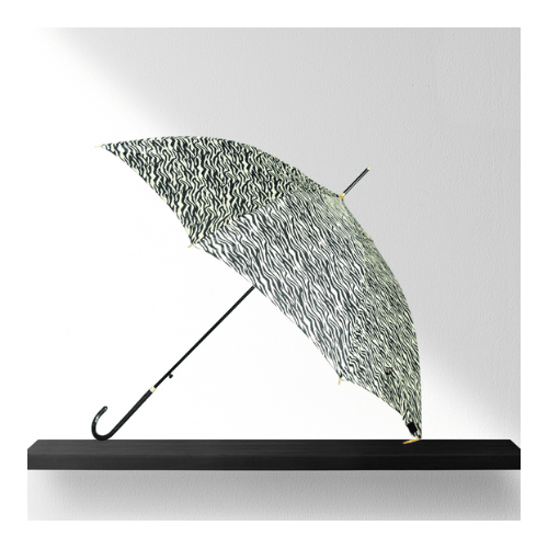 Rainco Curved Handle Ladies Umbrella in Sri Lanka Quickee