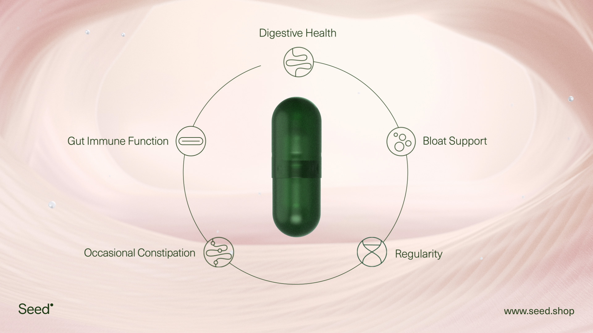 Seed Health QuickFrame