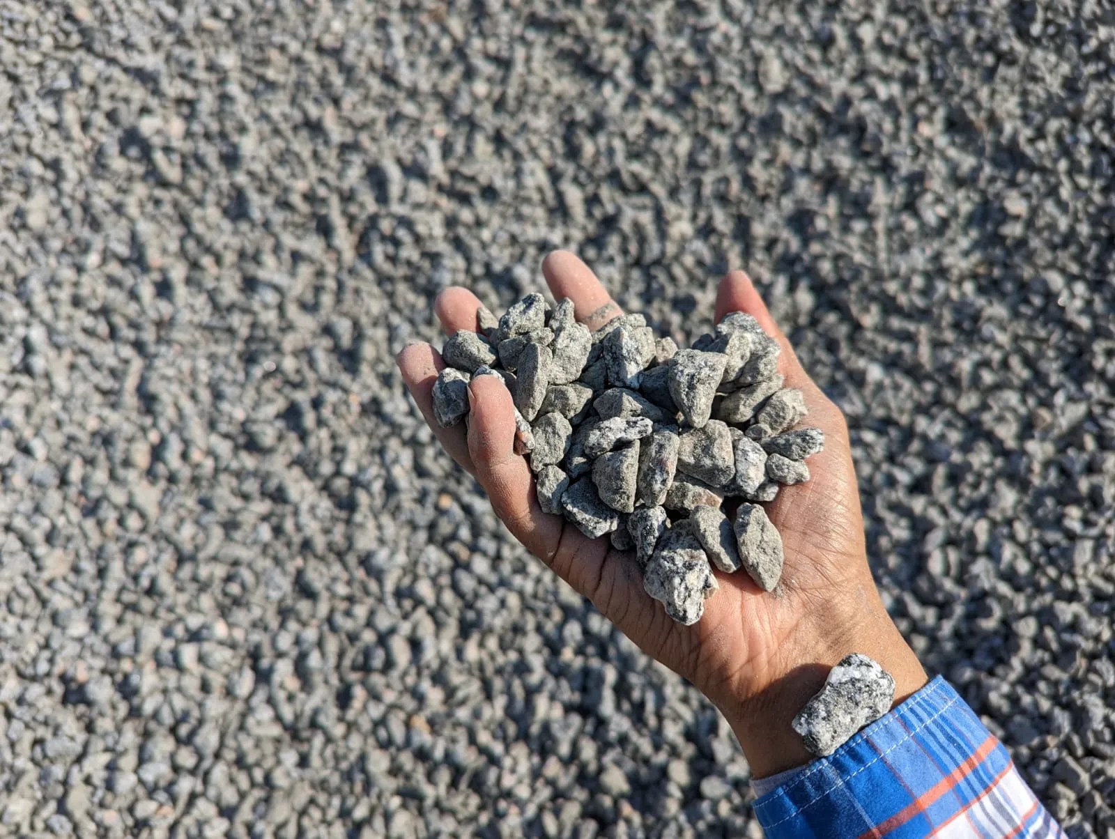 Salt and Pepper Granite Quick Lawn and Mulch