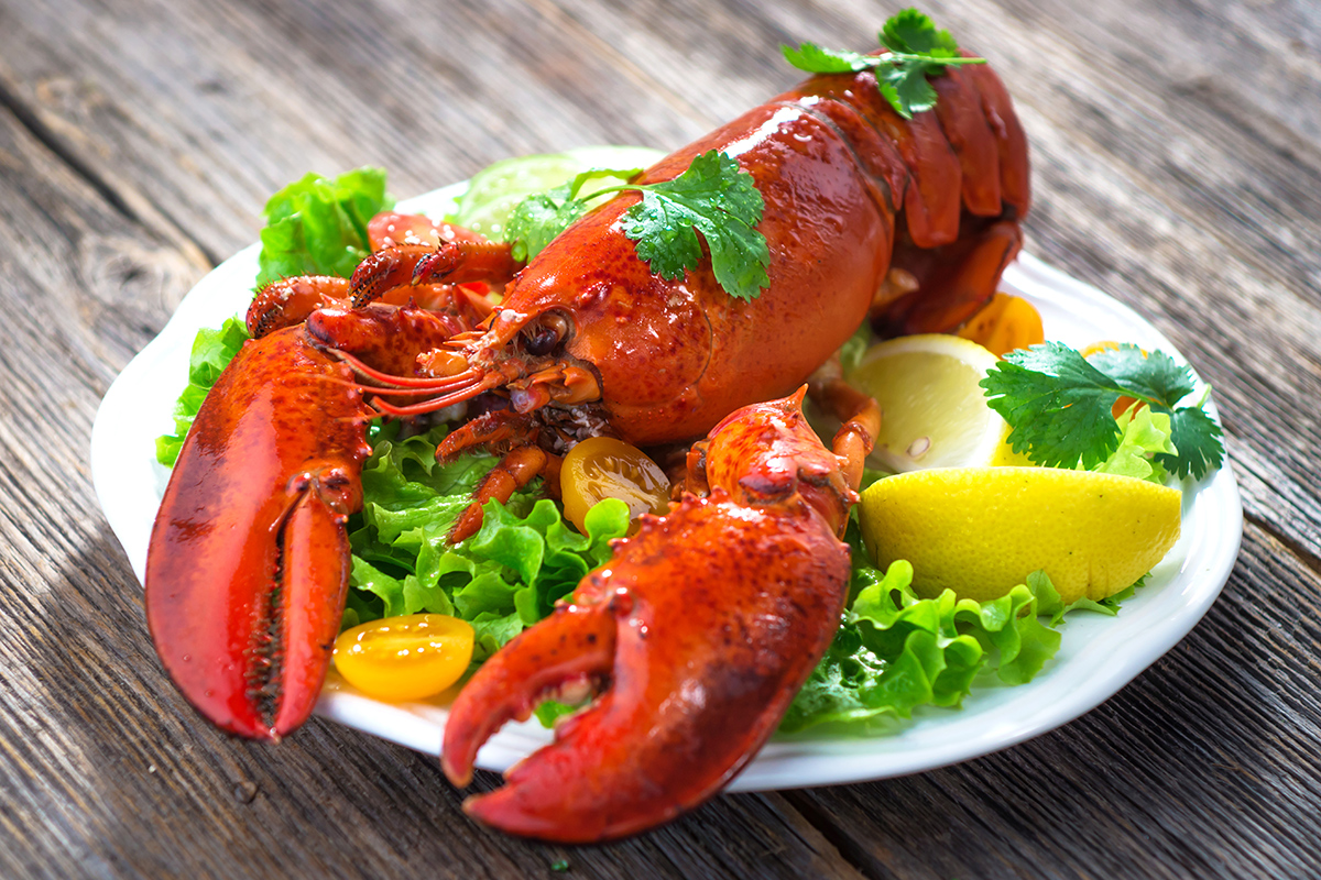 4 Live Lobsters Quick Lobster