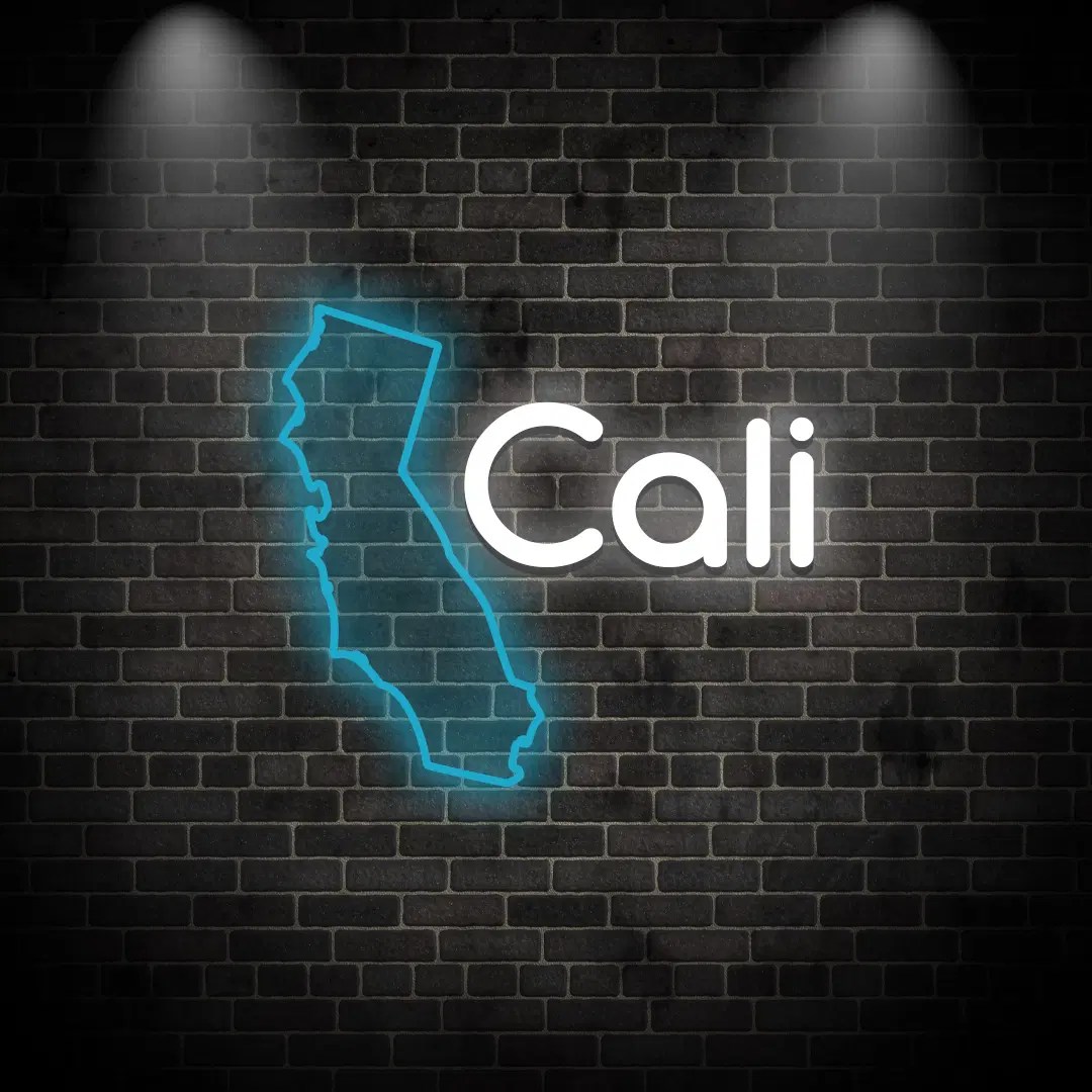 California Neon Sign Quick Neon Signs