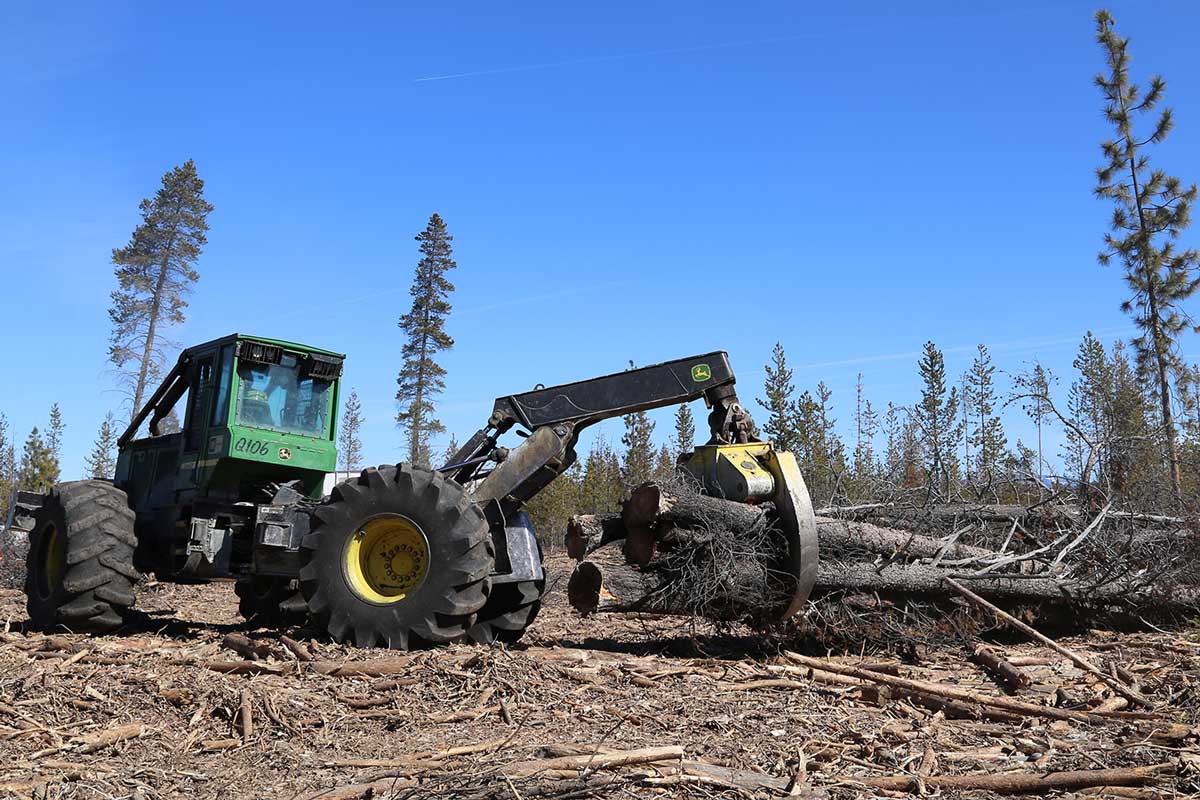 lodgepolelogginglapineoregon Quicksilver Contracting Company