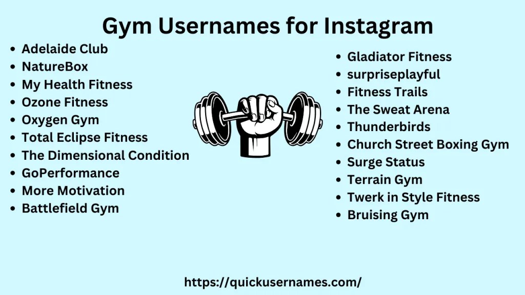 320+ Best Gym And Fitness Instagram Names 2024
