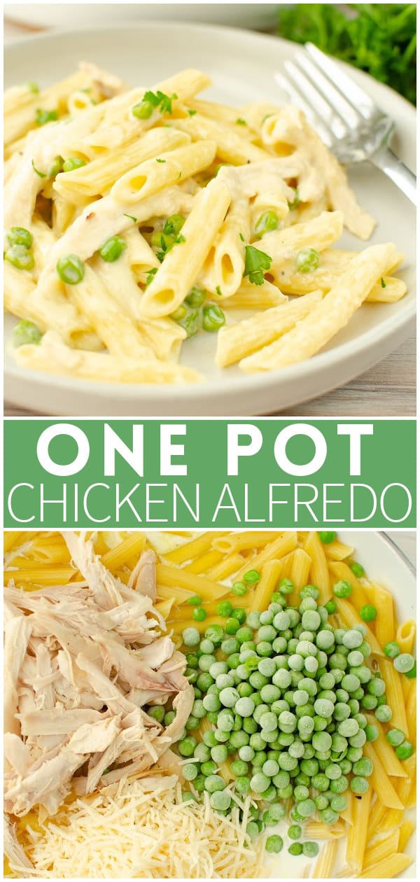 One Pot Chicken Alfredo Quick Weeknight Meals
