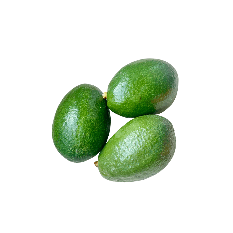 Buy Avocado"Bacon" Quieronaranjas, Familia Casesnoves, S.L.