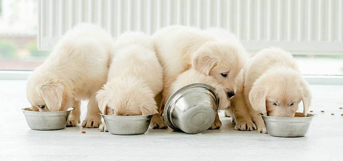 Chapter 1 Concurrency Overview in C Quiet Book Space