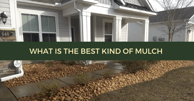 What is the best kind of mulch - Blog - Quiet Lawn LLC