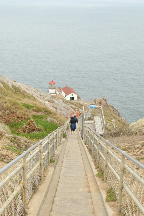 Our Honeymoon in Tomales Bay Quiet Like Horses