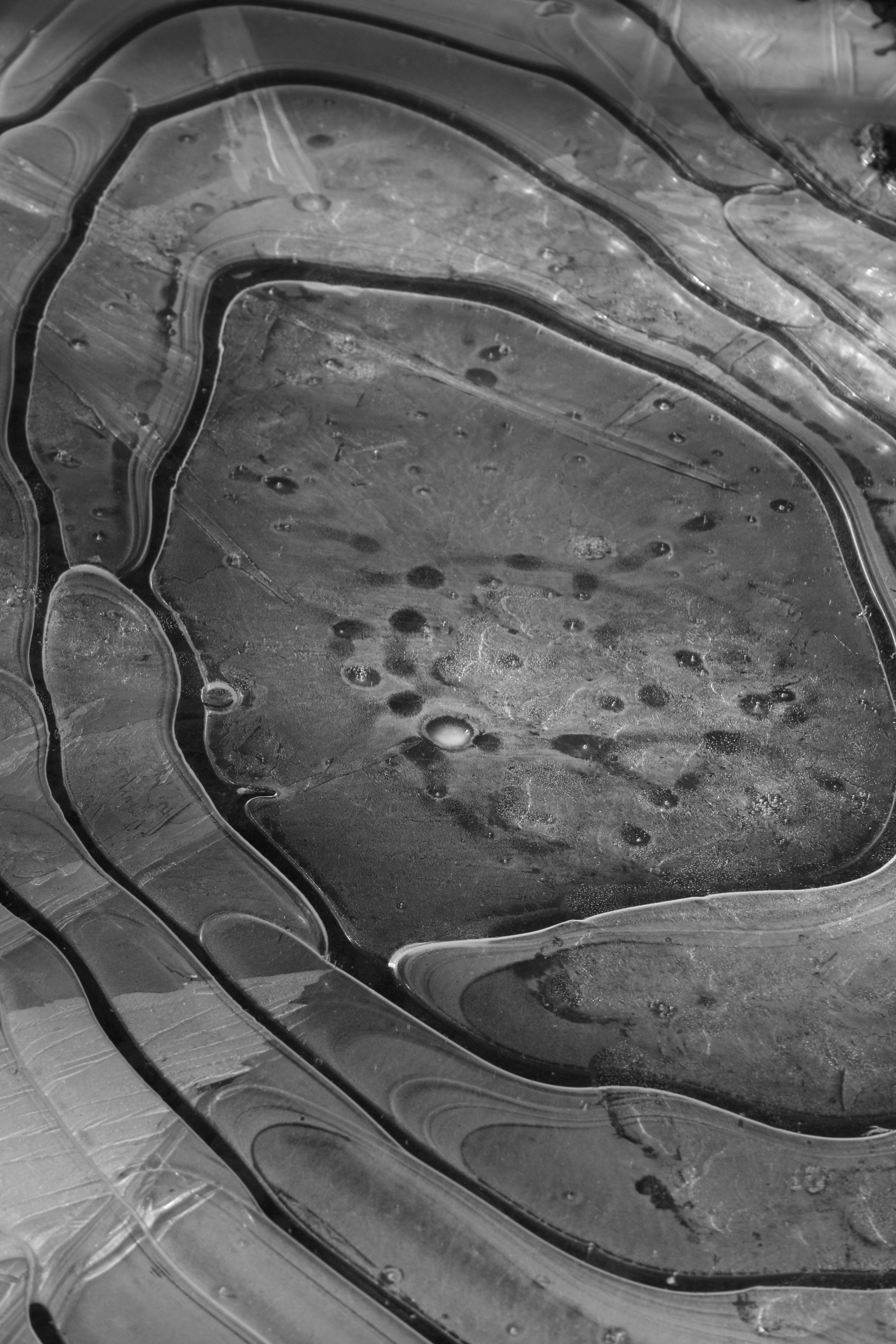 First Frost Quiet Owl Farm