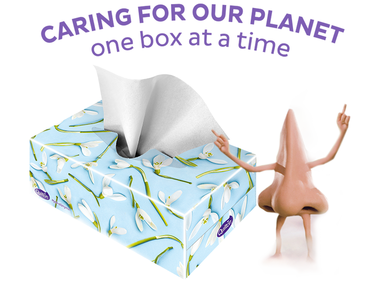 Facial Tissues Archives Quilton Quilton