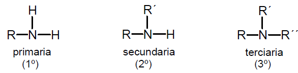 Amina Primaria Secundaria Y Terciaria Ejemplos Colección de Ejemplo