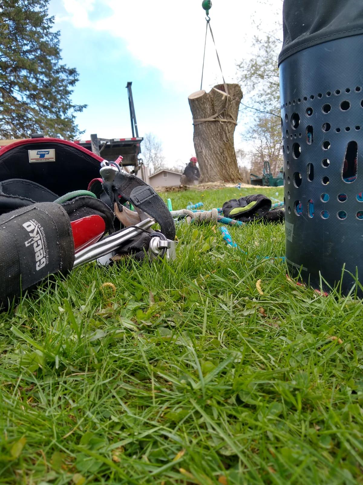 Quinlan Tree Service Since 1969 We Answer The Phone Free Quotes