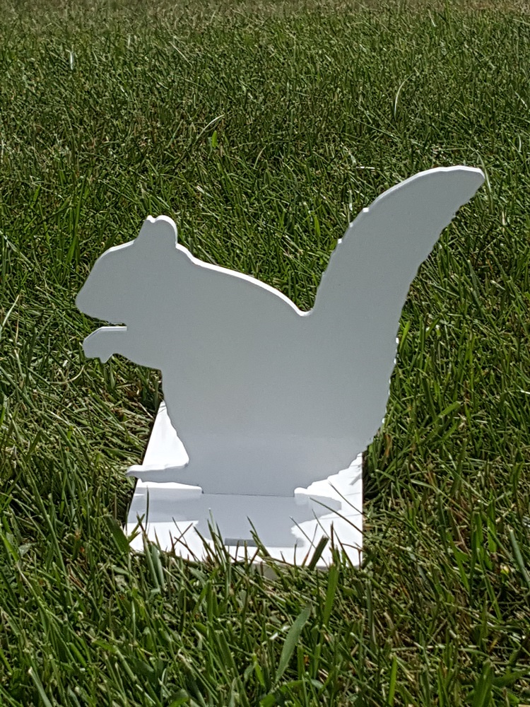 Squirrel Quinn Steel