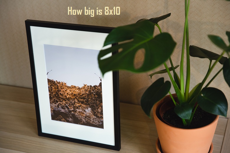 How big is 8x10, How big is 8x10 Picture, or Photo Quintdaily