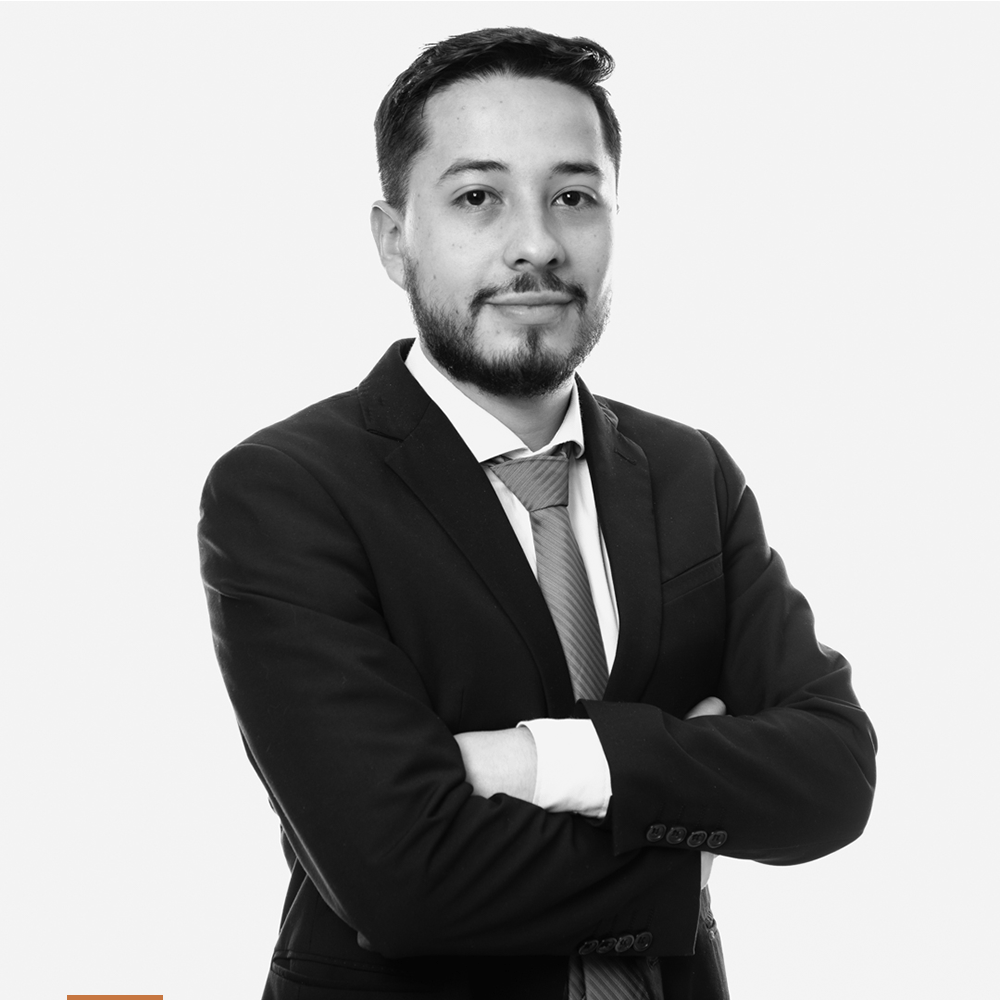 Saida Quintero Quintero y Quintero