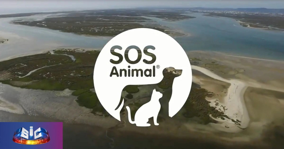 «SOS Animal» regressa à SIC com famosos e aventuras pelo mundo