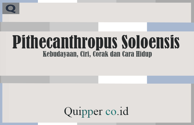 Pithecanthropus Soloensis - Kebudayaan, Ciri, Corak dan Cara Hidup