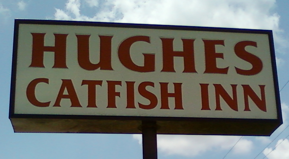 Quirky Berkeley Gabby Greyhounds to Texas