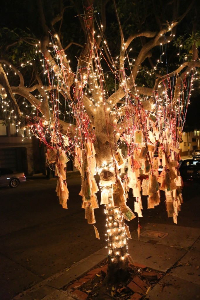 Quirky Berkeley Wish Trees