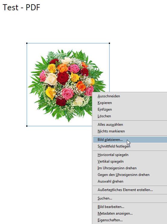 ein Bild in eine pdf Datei einfügen Jules Tipps und Tricks