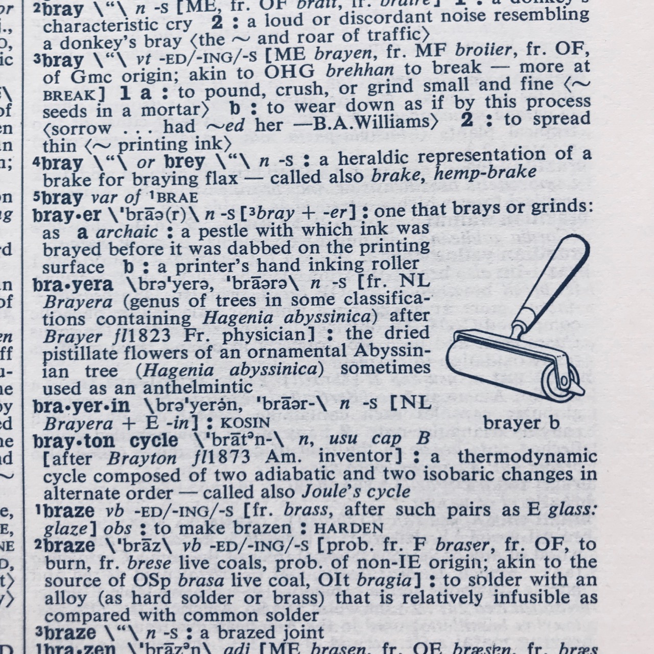 brayer A Quiver Of Quotes