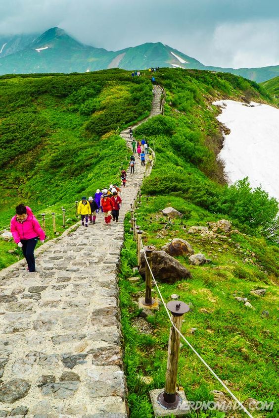 Family Adventure Vacations in Japan Quivertree