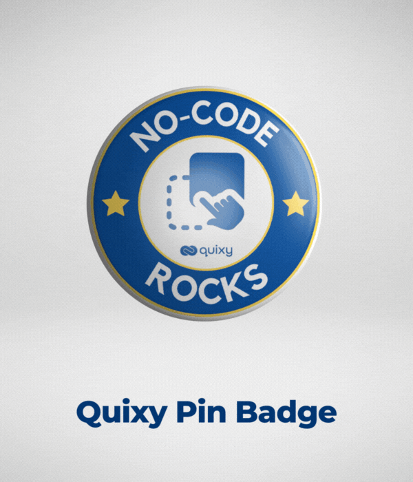 Quixy Pin Badge Quixy