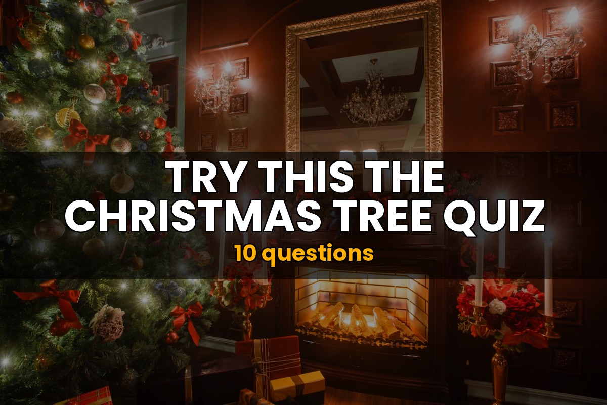 The Christmas Tree Quiz Christma Trivia
