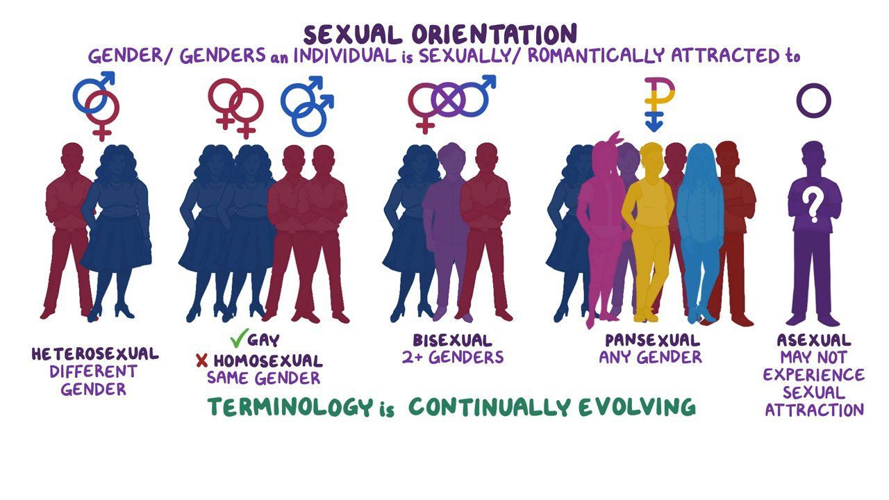 Sexual Orientation Test - Find Out Your Sexuality Today - Quizience