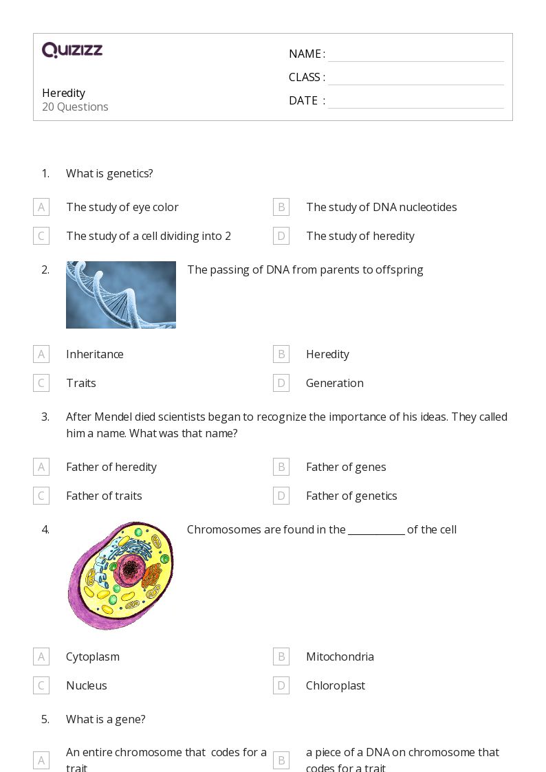 50+ worksheets for Kindergarten on Quizizz Free & Printable