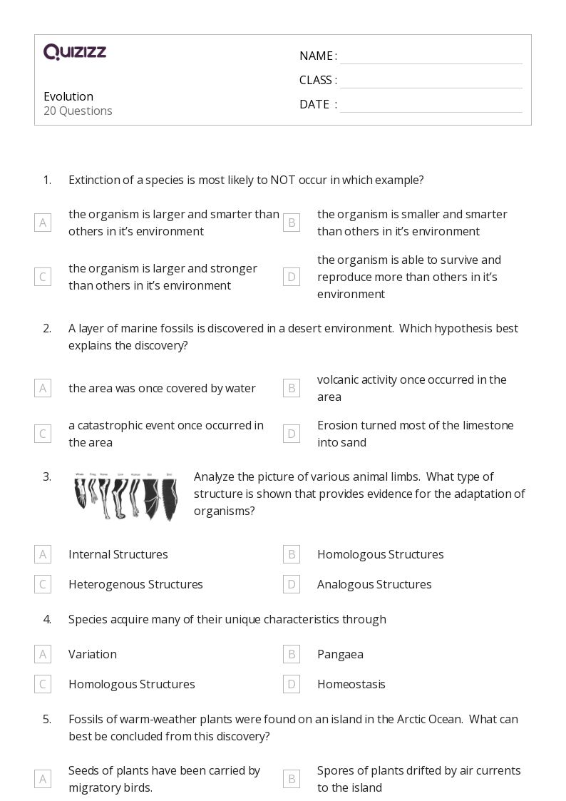 50+ Natural Selection and Adaptations worksheets for Kindergarten on