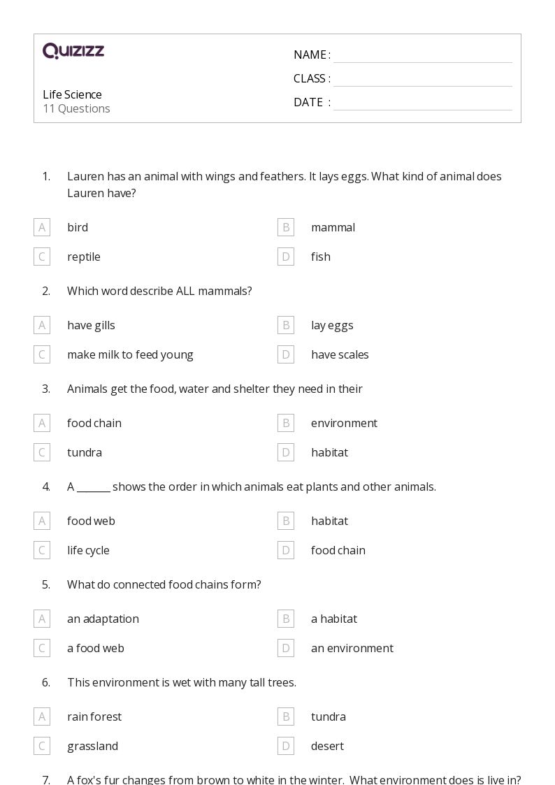 50+ Life Science worksheets for Kindergarten on Quizizz | Free & Printable