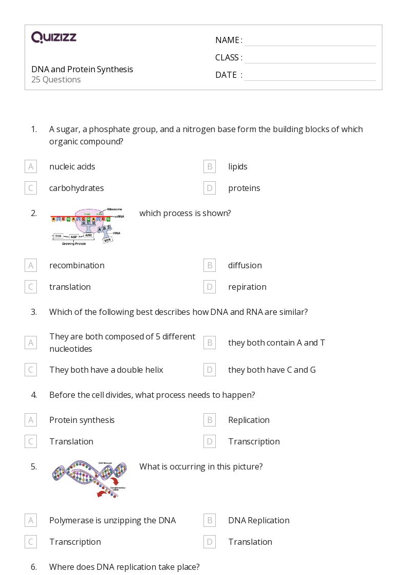 50+ rna and protein synthesis worksheets for 11th Grade on Quizizz Free & Printable