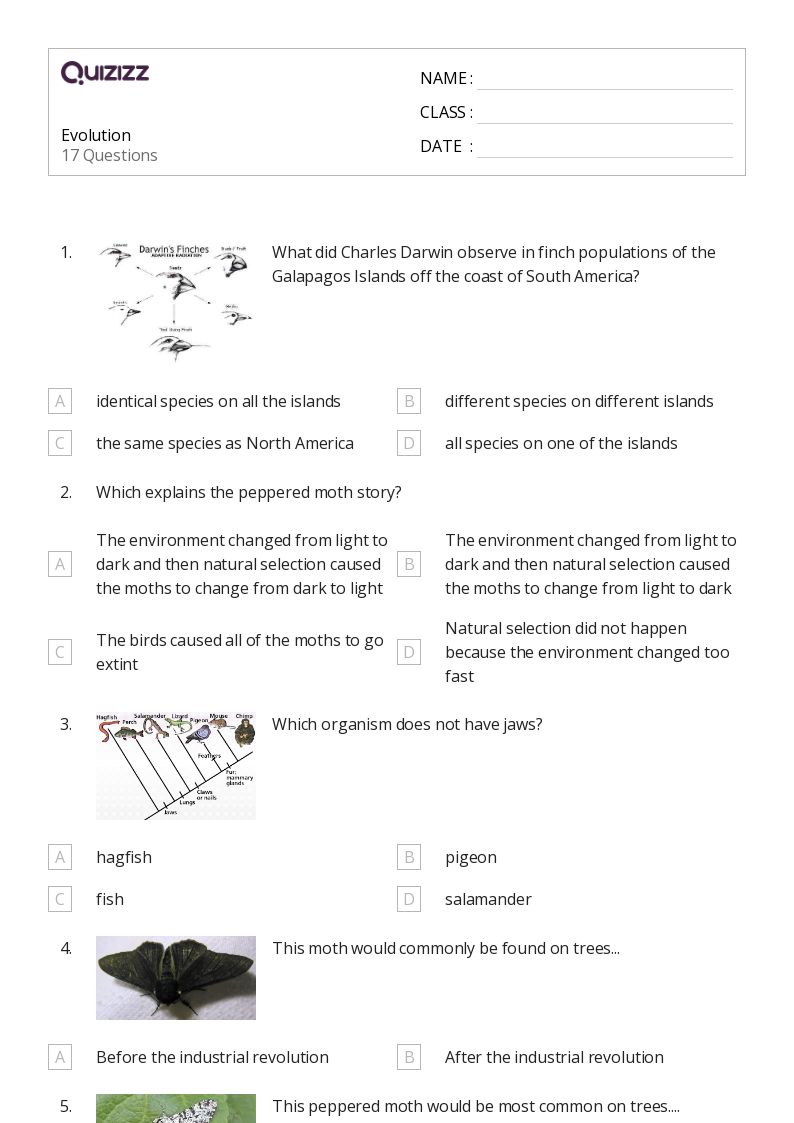 50+ Natural Selection and Adaptations worksheets for Kindergarten on Quizizz Free & Printable