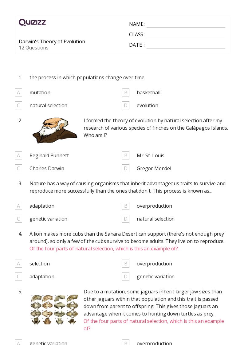 50+ Natural Selection and Adaptations worksheets for Kindergarten on Quizizz Free & Printable