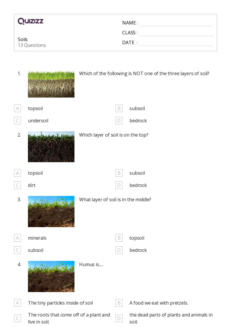 50+ soils worksheets on Quizizz Free & Printable