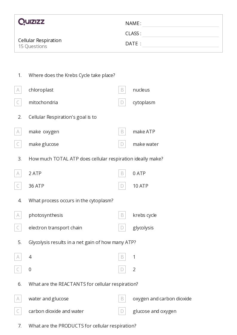 50+ cellular respiration worksheets for 10th Grade on Quizizz Free & Printable