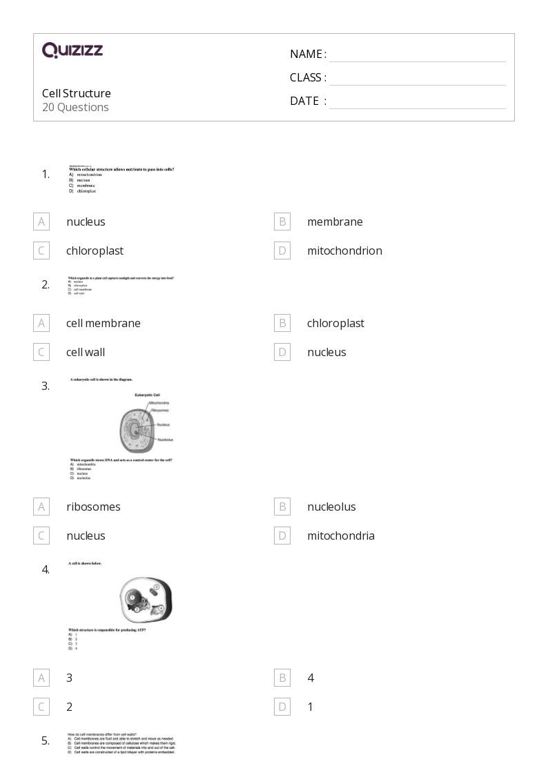 50+ structure of a cell worksheets on Quizizz Free & Printable