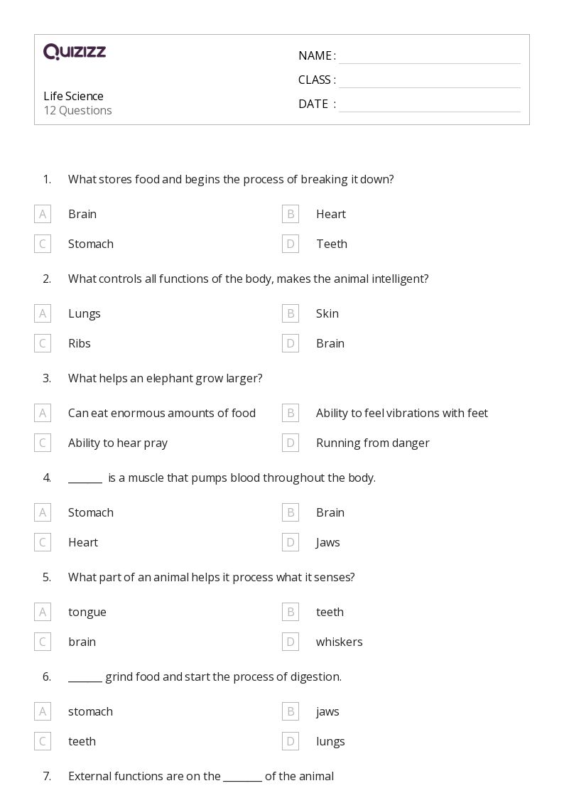 50+ Science worksheets for 4th Class on Quizizz Free & Printable