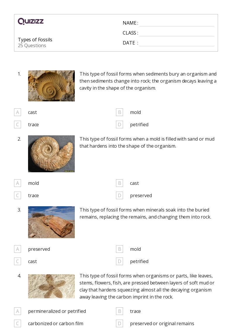 50+ fossils worksheets for 9th Grade on Quizizz Free & Printable