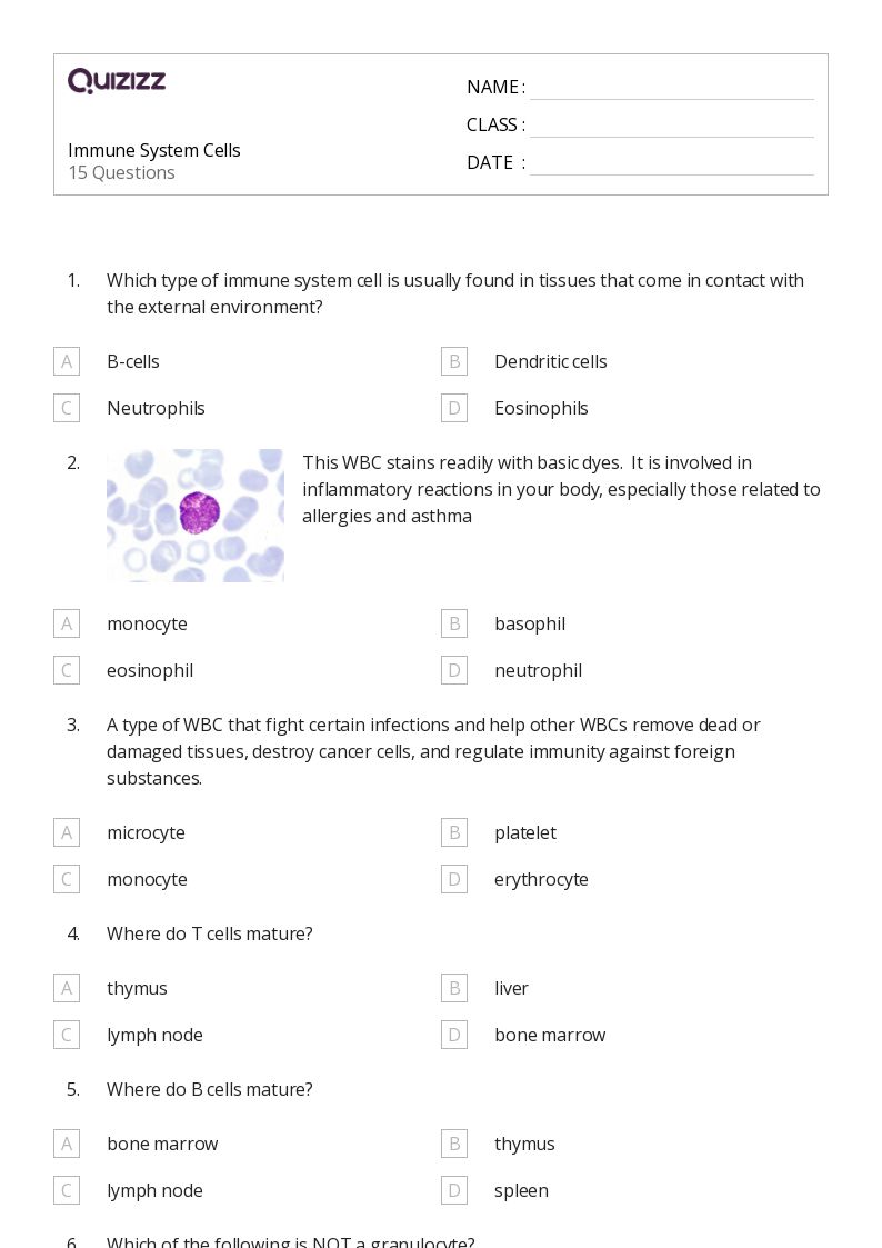 50+ the immune system worksheets for 12th Grade on Quizizz Free & Printable