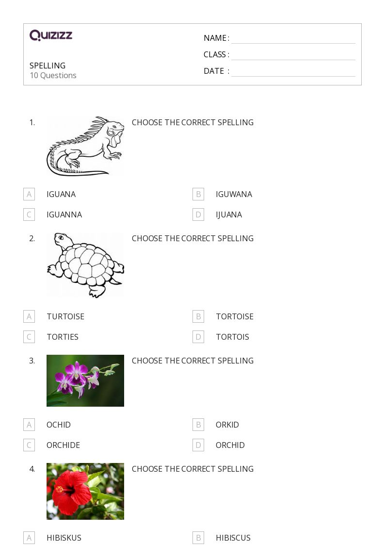 50+ Spelling worksheets for 6th Grade on Quizizz Free & Printable