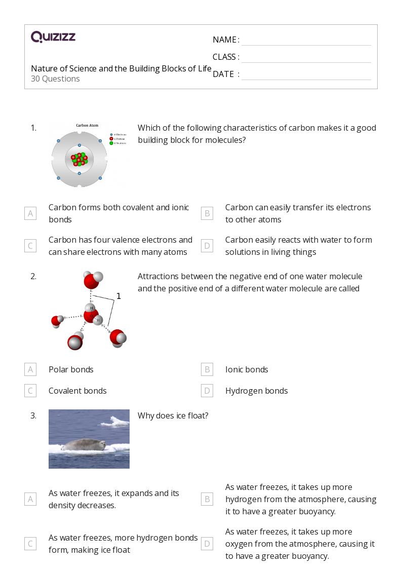 50+ Fundamentals and Building Blocks worksheets on Quizizz | Free