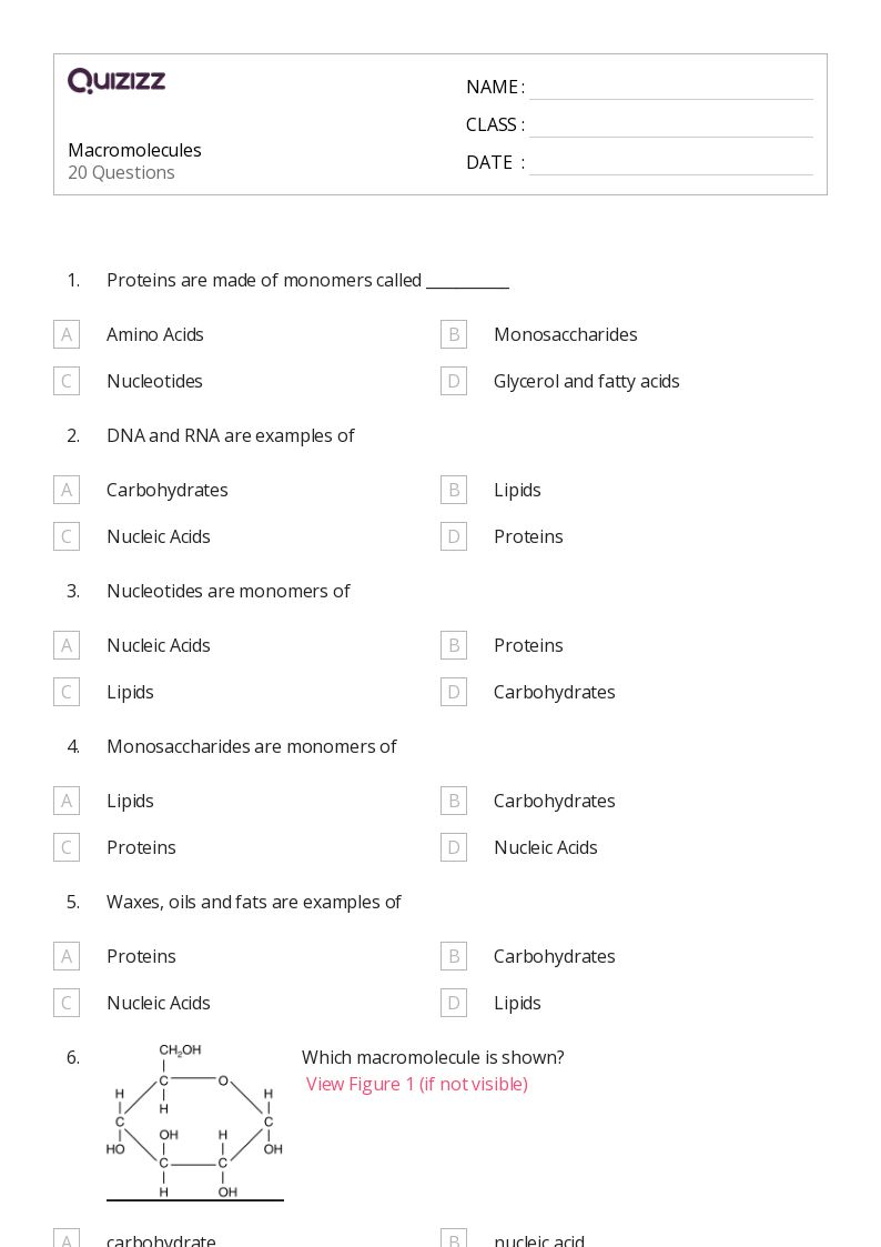 50+ macromolecules worksheets for 9th Class on Quizizz Free & Printable