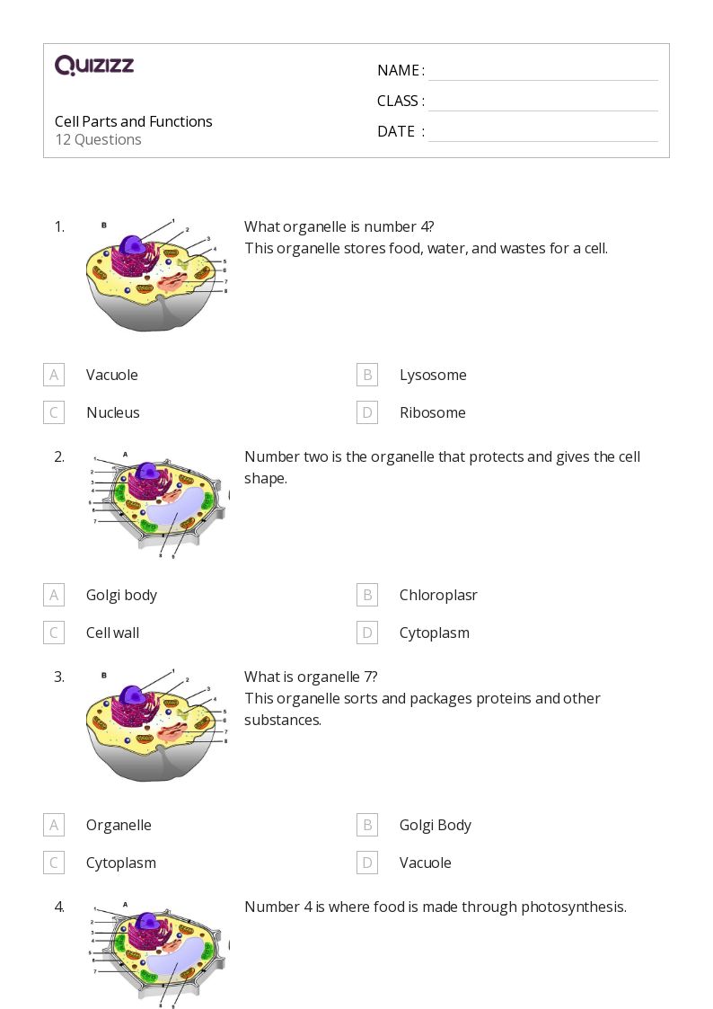 50+ Functions worksheets for 6th Grade on Quizizz Free & Printable