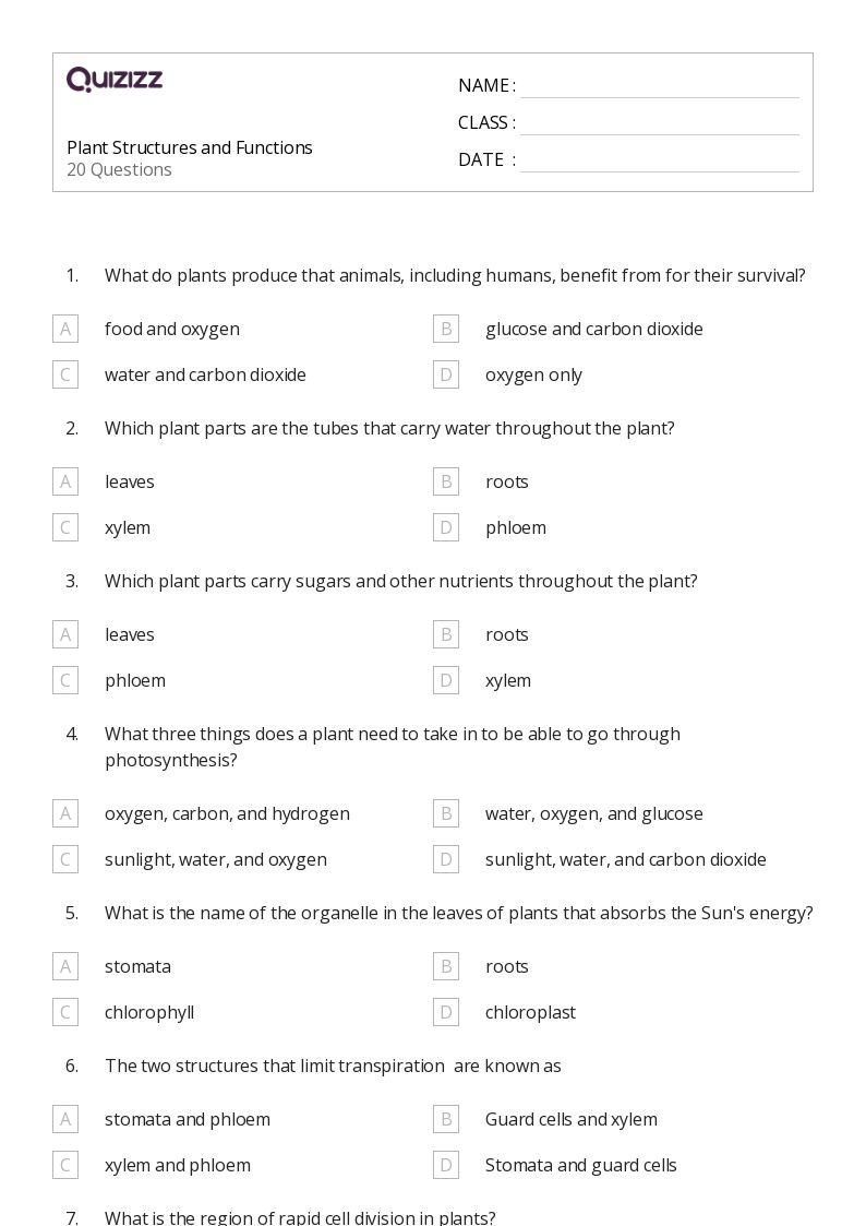 50+ plant parts and their functions worksheets on Quizizz Free