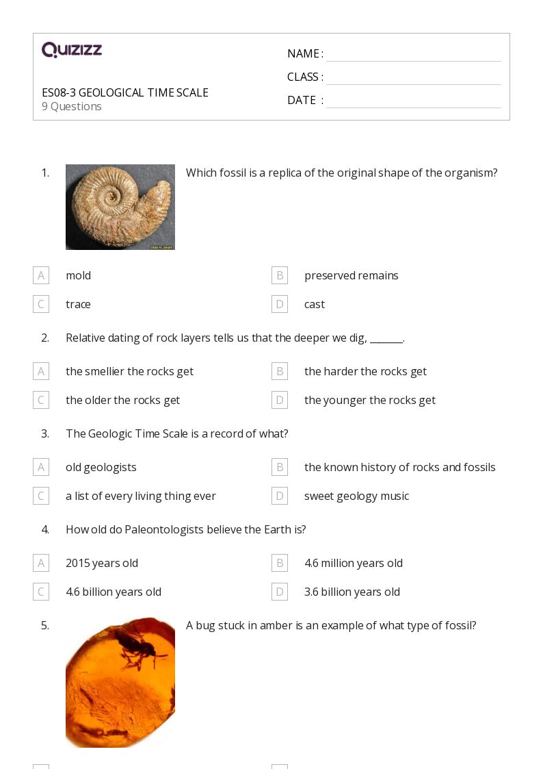 50+ fossils worksheets for 10th Grade on Quizizz Free & Printable